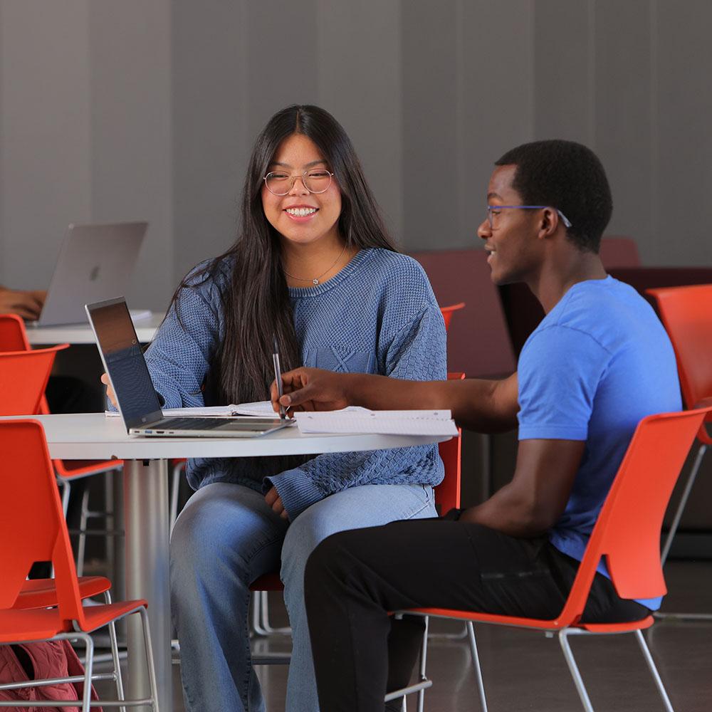 A couple students in front of a laptop